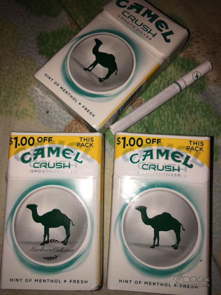 camel crush smooth silver
